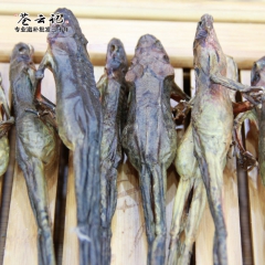 批发雪蛤干 林蛙干 特级雪蛤林蛙  100%干度