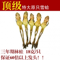 雪蛤 蛤蟆油 雪蛤个  林蛙  林蛙干 18克支  十只起批