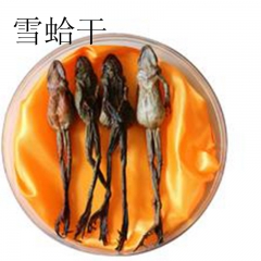 产地直销长白山林蛙干 优质蛤蟆干雪蛤干 长白山亚种纯干林蛙