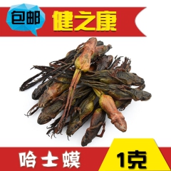哈士蟆100克 中国林蛙、红肚田鸡哈什蚂、黄哈蟆、雪蛤中药材...
