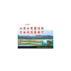 广东批发无公害商品甲鱼与中华草龟