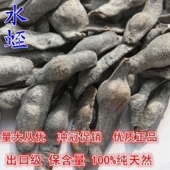 热销精选优质水洗水蛭 蚂蝗、马鳖无硫无杂 天然