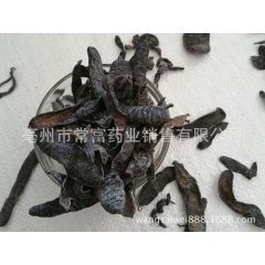 批发中药材 水蛭 清水 矾水 小水蛭 蚂蟥 大货直销