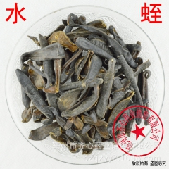 批发供应中药材 水蛭 蚂蟥  清水水蛭 矾水水蛭