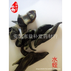 水蛭 蚂蟥,无硫无杂，安国益补堂中药批发 可供所有中药材信息
