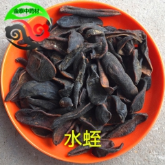 供应中药材 优质 水蛭 蚂蝗  破血 逐瘀 通经 量大从优