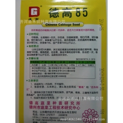 本所育成的中晚熟大白菜一代杂种、适合大白菜基地大秒你急栽培