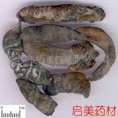 启美药材 药材 水蛭 清水 蚂蝗 马鳖（可打粉）产地直销 出...