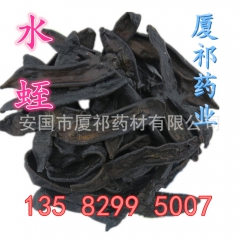 【厦祁药业】中药材 水蛭 马蟥 清水吊干 另有水蛭粉 正品优...