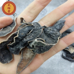 批发 清水   水蛭 蚂蝗 大货 长期销售