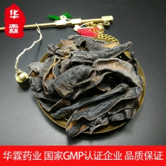 安国GMP企业华霖药业批发中药材水蛭 中药水蛭价格