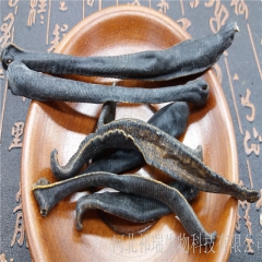 批发大量 水蛭 清水水蛭 蚂蝗 水蛭干货 无盐无矾