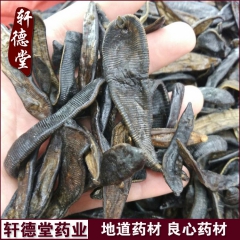 x75厂家产地直销批发中药材 清水大水蛭 加工超细粉 精细粉...