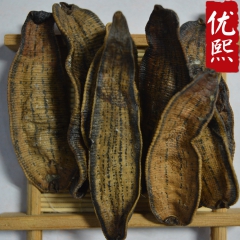 批发优质中药材水蛭 清水蚂蟥 足干大片水蛭 大货供应 价格优...