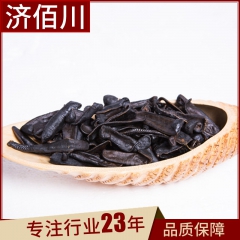 批发中药材 清水小水蛭 蚂蟥 质量保障 大货直销  优价