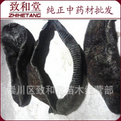 263大量批发 水蛭 统 扁宽  清水水蛭
