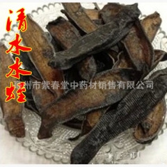 供应优质中药材水蛭 清水蚂蟥 清水吊干水蛭 正品保障