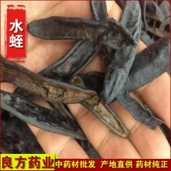 f157中药材批发、水蛭、蚂蟥、不加任何东西、清水货、吊干
