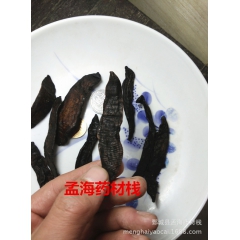 【批发供应各类中药材】水蛭 蚂蝗 吊干水蛭  大货可售