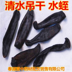 优质中药材 清水蚂蟥 清水吊干水蛭 批发各种规