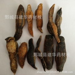 优质 炒水蛭 水蛭 蚂蝗 炒蚂蟥 中药材批发 实图拍摄 假一...