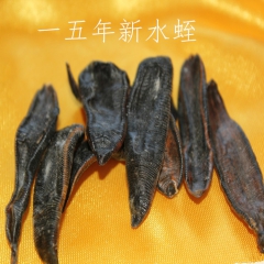 优质中药清水蚂蟥 清水吊干水蛭 批发各种规格量大从优