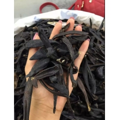 批发优质中药材 清水吊干水蛭 精选水蛭干品 可打粉 大