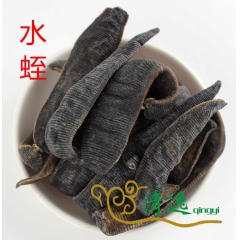 水蛭 蚂蟥 中药材 抓药 药店供货