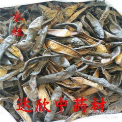 供应  优质中药材水蛭    正品清水吊干   水蛭