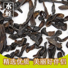 优质中药清水蚂蟥 清水吊干水蛭 批发各种规无盐无矾破血逐淤通...