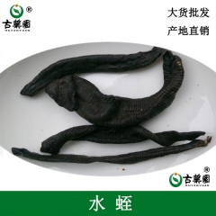 批发中药材 清水吊杆水蛭 矾水蚂蟥 大货批发 一件代发 正品