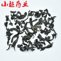 亳州市小超药业  水蛭 加工超细粉 精细粉