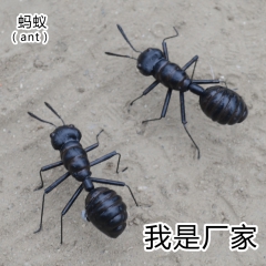 高仿真昆虫 蚂蚁