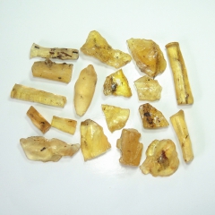 特价天然带虫柯巴树脂 柯巴脂标本含昆虫蚂蚁 超值单个售价1....