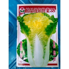 精品沈阳快菜38  大白菜 毛毛菜 小青菜 10g