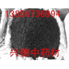 供应批发优质动物类原药材无杂 黑蚂蚁 红蚂蚁 质量保证