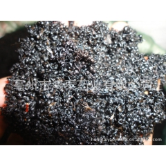 大量供应 蚂蚁 红蚂蚁 黑蚂蚁