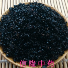 信隆公司供应大黑蚂蚁 小蚂蚁 蚂蚁各种规格各种价位