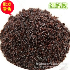 中药材批发供应 红蚂蚁 蚂蚁 量大价优 质量保证 支持验货 ...