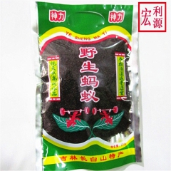 长白山野生红蚂蚁  产地大量批发大蚂蚁泡酒 红蚂蚁 黑蚂蚁
