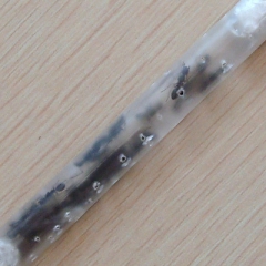 蚂蚁工坊专用活体蚂蚁 管装蚂蚁 蚂蚁家园 蚂蚁庄园选配1管装...