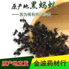 源产地直销 长白山纯野生大黑蚂蚁 蚂蚁粉 泡酒料