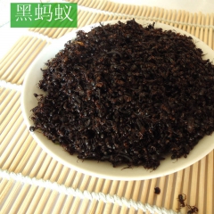 供应中药材野生黑蚂蚁 大黑蚂蚁东北特产  泡酒料