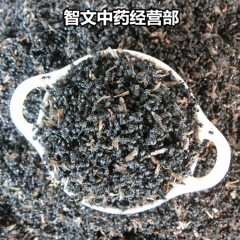 中药材专业批发 黑蚂蚁 纯正优质东北野生黑蚂蚁 拟黑多刺蚁 ...