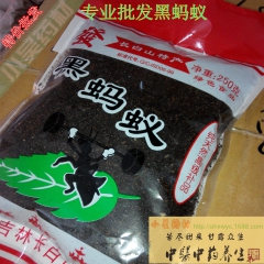 厂家直销 长白山 野生黑蚂蚁  250克