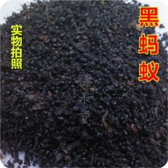 黑蚂蚁 中药材 具有治蛇咬伤和疔毒肿痛的功效