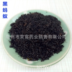 优质野生黑蚂蚁 黑蚂蚁粉  拟黑多刺蚂蚁  泡酒料
