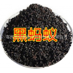 批发中药材蚂蚁 干 野生黑蚂蚁泡酒 每袋250克 长白山黑蚂...