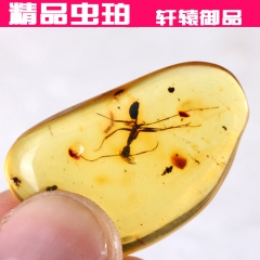 轩辕琥珀 天然 波罗的海虫珀原石 乌克兰精品虫珀蚂蚁