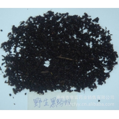 优质长白山野生黑蚂蚁 黑蚂蚁粉  泡酒料   量大优惠